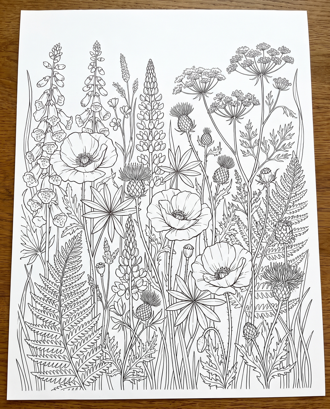 Floral Adult Coloring Book | 6 Printable Coloring Pages | Instant Download